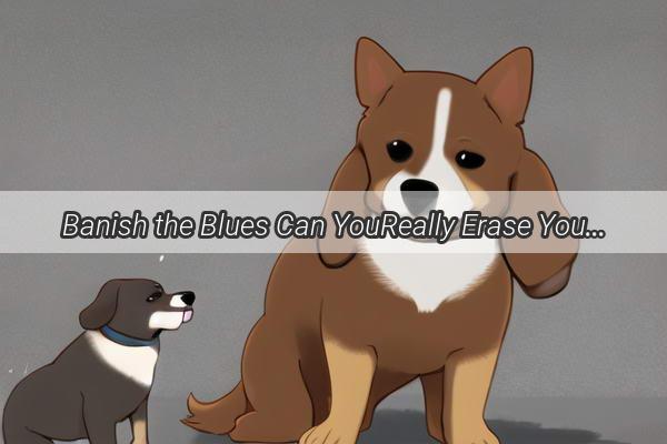 Banish the Blues Can YouReally Erase Your Dogs Tear Stains for Good